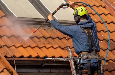 Démoussage et hydrofuge de toiture à Bonne